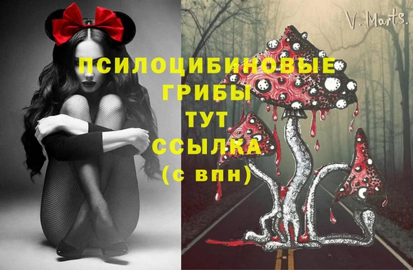 мдма Коряжма