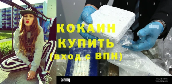 ГАЛЛЮЦИНОГЕННЫЕ ГРИБЫ Корсаков