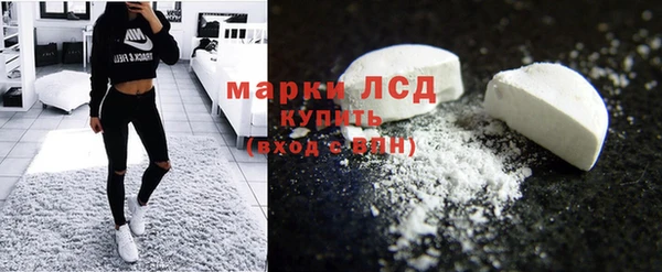 ГАЛЛЮЦИНОГЕННЫЕ ГРИБЫ Корсаков