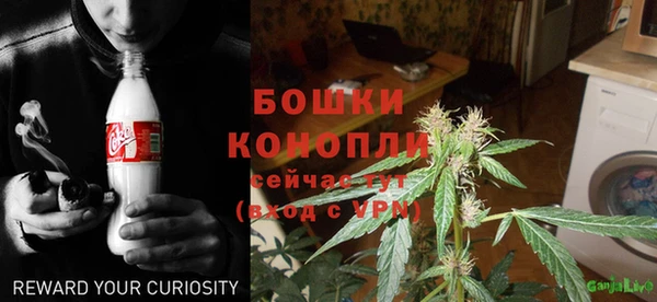 крисы Костерёво