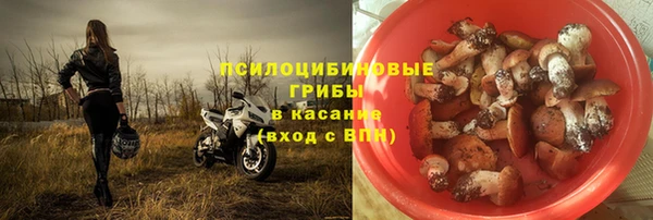 мдпв Красноперекопск