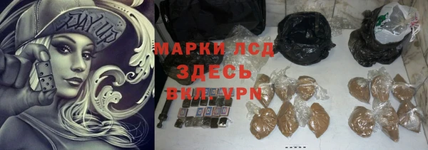ГАЛЛЮЦИНОГЕННЫЕ ГРИБЫ Корсаков