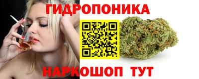 шишки Кинель