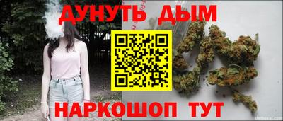 шишки Кинель