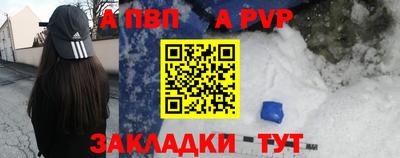 твердый Кингисепп