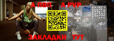 твердый Кингисепп