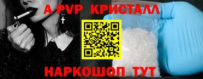 твердый Кингисепп