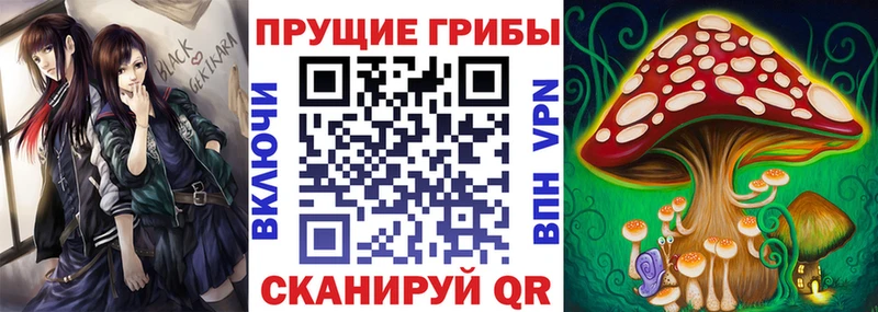 Галлюциногенные грибы Psilocybe  OMG ONION  Шали 