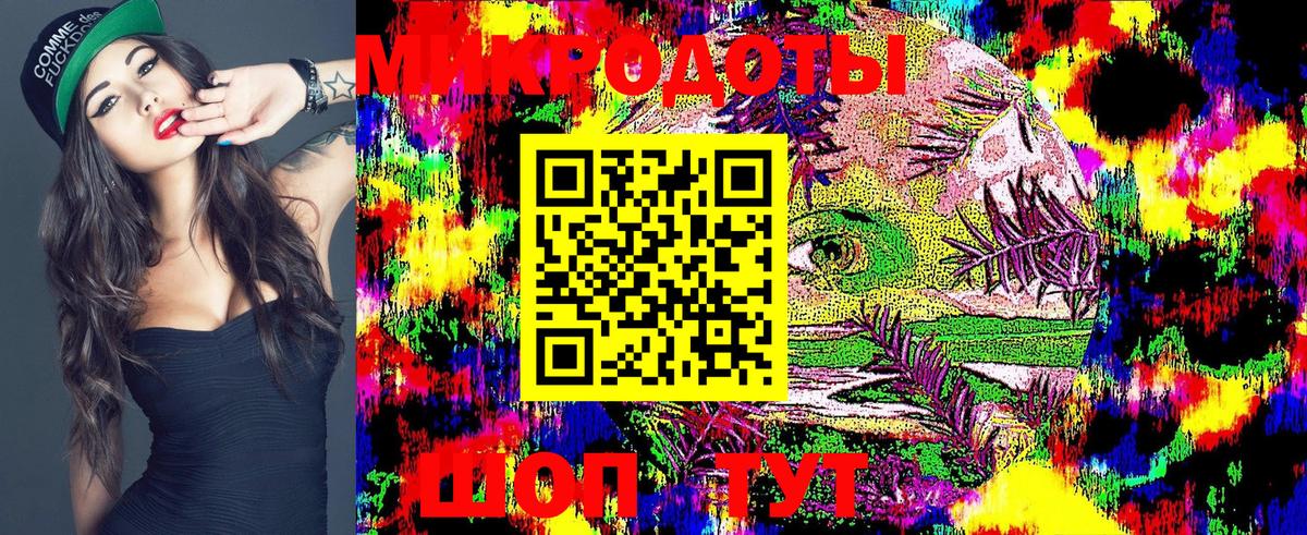 как найти   Шали  Галлюциногенные грибы MAGIC MUSHROOMS 